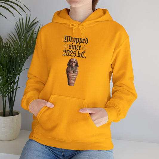 Vintage Pharaoh Hoodie – Ancient Vibes, Modern Comfort (Unisex S-5XL) in Gold